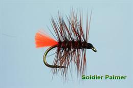 Soldier Palmer